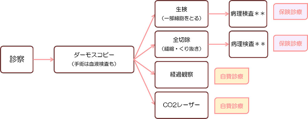 フローチャート