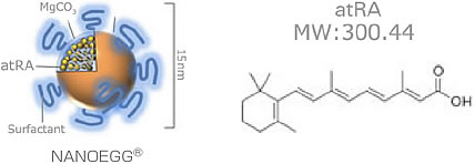 ナノエッグトレチノイン
